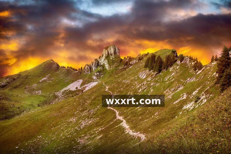 zoty中欧赛程日历与赛事提醒服务